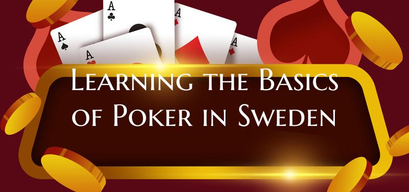 Learning the Basics of Poker...